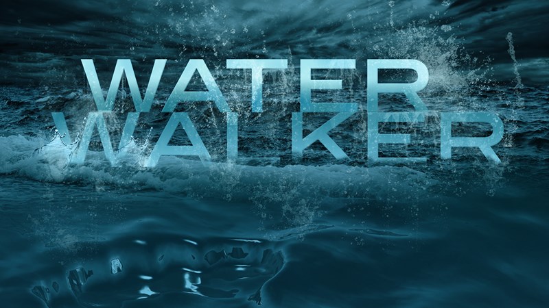 Series image for Water Walker